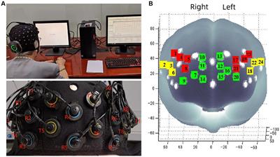 Does muscle strength predict working memory? A cross-sectional fNIRS study in older adults